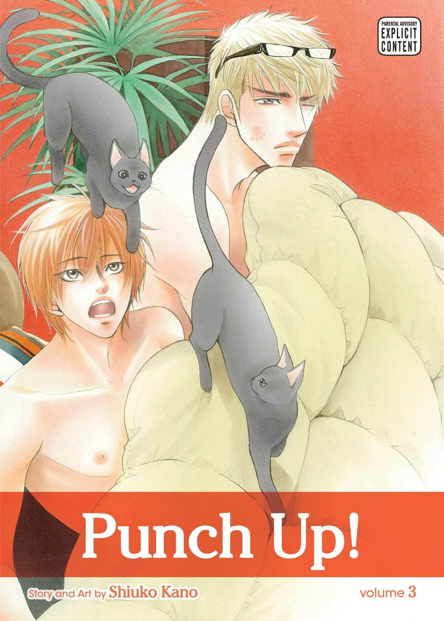 Punch Up! (Manga) Vol. 3 - Tankobonbon